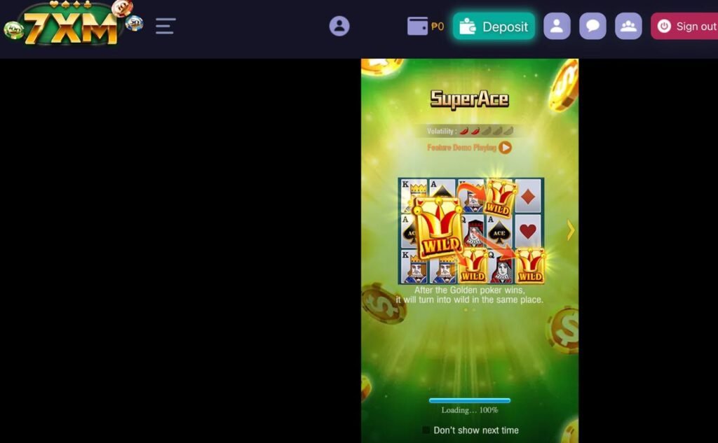 What are the Special Cards in Super Ace Slots?